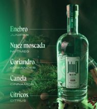Ver articulo